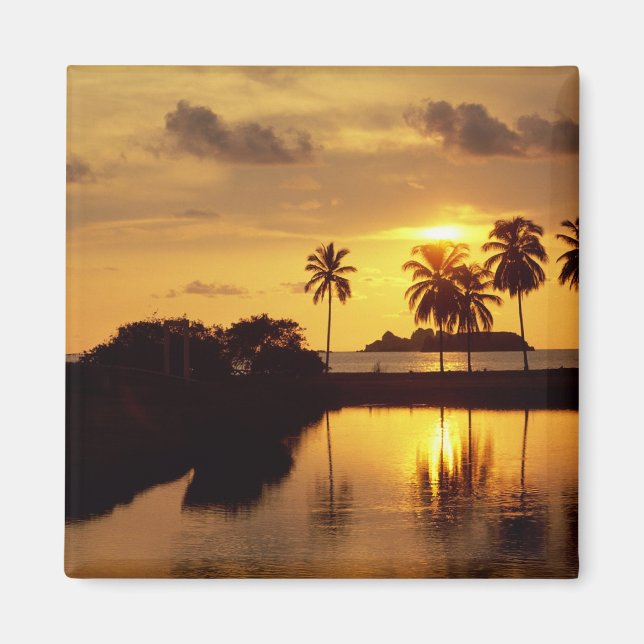 Inxtapa Sunset Magnet (Framsidan)