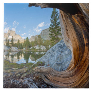 Inyo National Forest, Kalifornien Kakelplatta