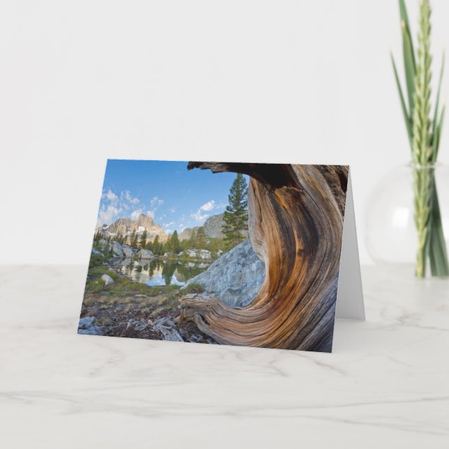 Inyo National Forest, Kalifornien Kort (Framsida)