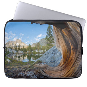 Inyo National Forest, Kalifornien Laptop Fodral