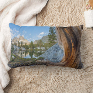 Inyo National Forest, Kalifornien Lumbarkudde
