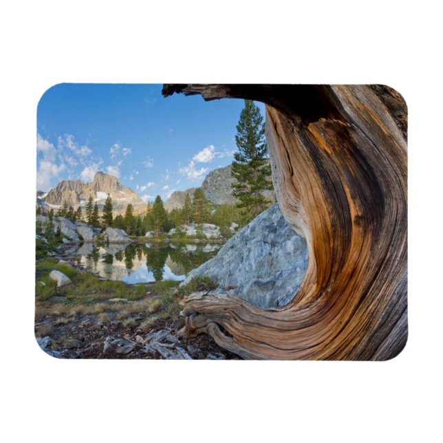 Inyo National Forest, Kalifornien Magnet (Horisontell)
