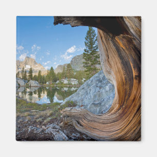 Inyo National Forest, Kalifornien Magnet