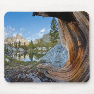 Inyo National Forest, Kalifornien Musmatta