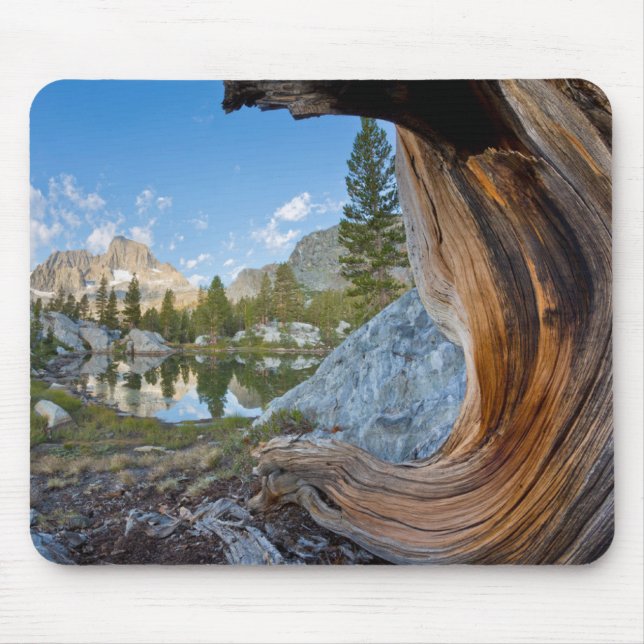 Inyo National Forest, Kalifornien Musmatta (Framsidan)