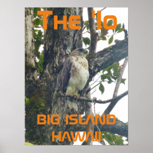 "Io BIG ISLAND HAWAII Poster