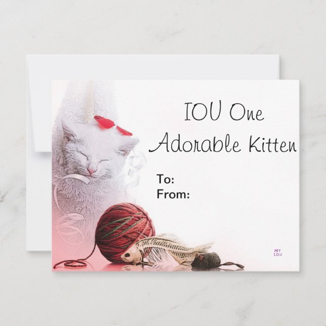 IOU One Adsible Kitten (Framsida)