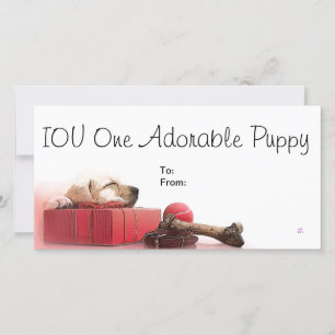 IOU One Adsible Puppy