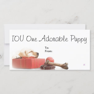 IOU One Adsible Puppy