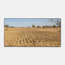 Iowa Cornfield Nature Scenery Panorama Photography