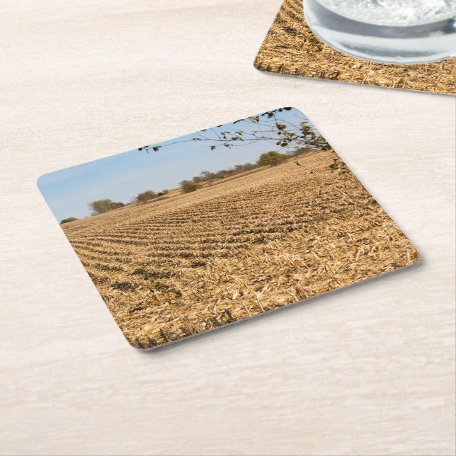 Iowa Cornfield Panorama Photo Underlägg Papper Kvadrat (Vinklad)