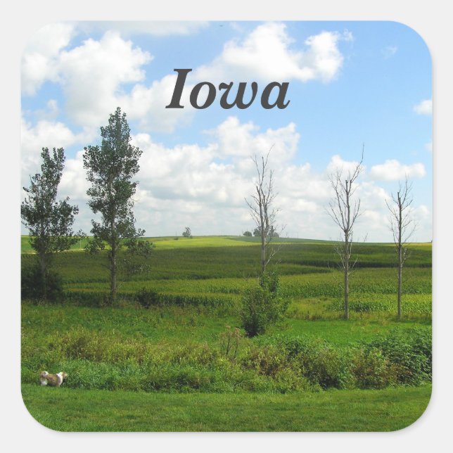 Iowa Fyrkantigt Klistermärke (Framsida)