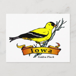Iowa Goldfinch Vykort