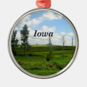 Iowa Julgransprydnad Metall