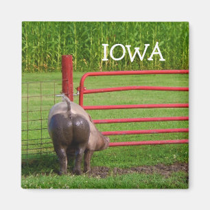 Iowa magnet