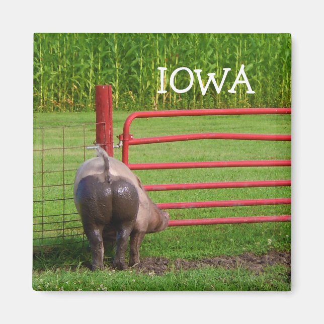 Iowa Magnet (Framsidan)