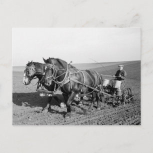 Iowa Maj Planter, 1940-talet Vykort