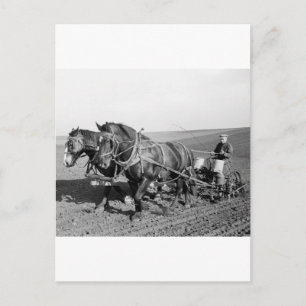 Iowa Maj Planter, 1940-talet Vykort