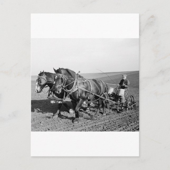 Iowa Maj Planter, 1940-talet Vykort (Framsida)