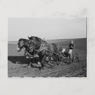 Iowa Maj Planting Vykort