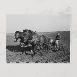 Iowa Maj Planting Vykort