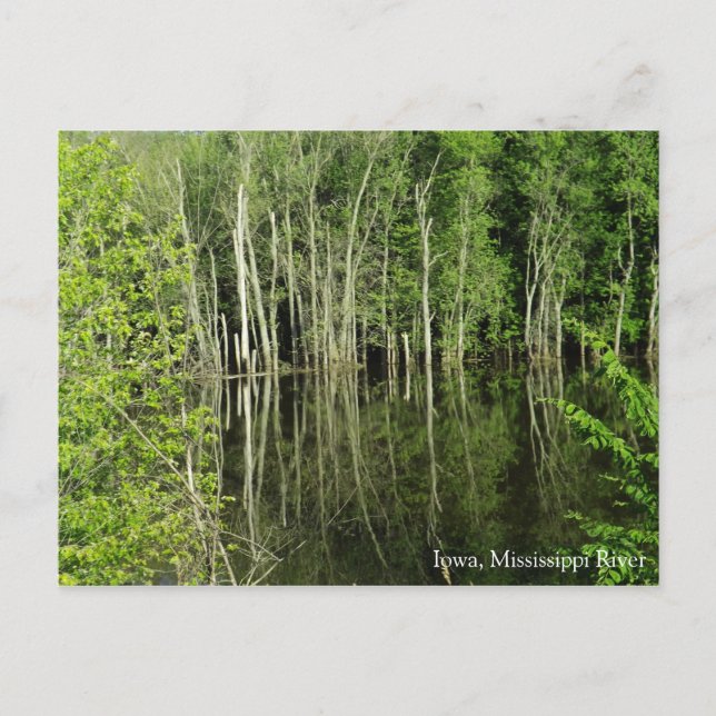 Iowa på Mississippi River Postcard Vykort (Framsida)