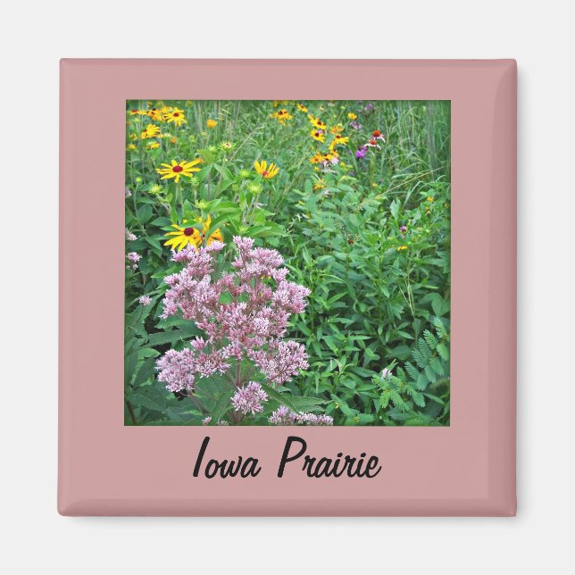 Iowa Prairie Magnet (Framsidan)