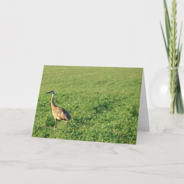 Iowa Sandhill Crane Kort (Framsida)