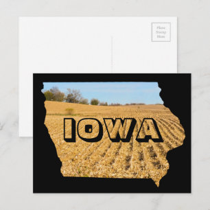 Iowa Scenisk Majsfält Natur Fotografi Resa Vykort