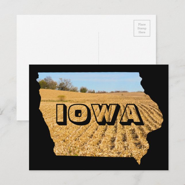 Iowa Scenisk Majsfält Natur Fotografi Resa Vykort (Fram/baksida)