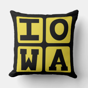 IOWA State Iowan Hawkeye Des Moines Cedar Rapids Kudde
