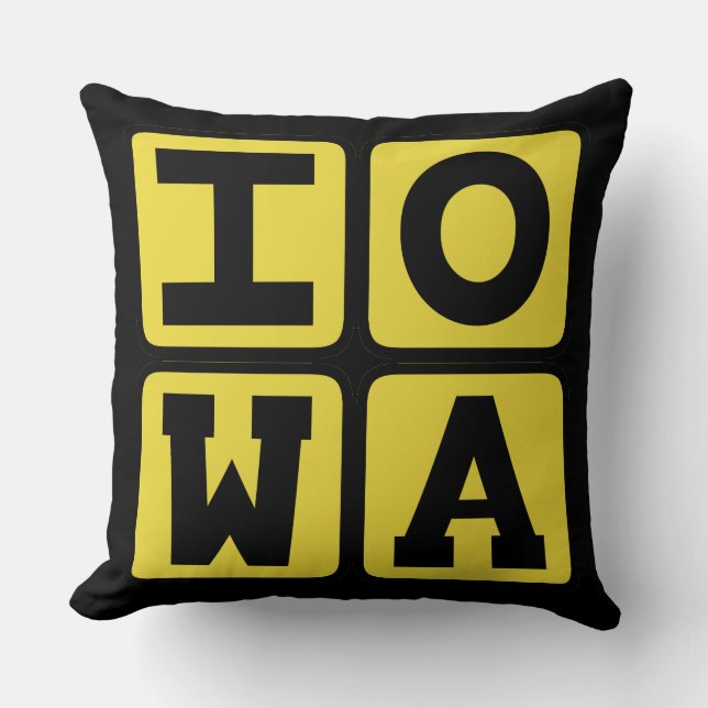 IOWA State Iowan Hawkeye Des Moines Cedar Rapids Kudde (Framsida)