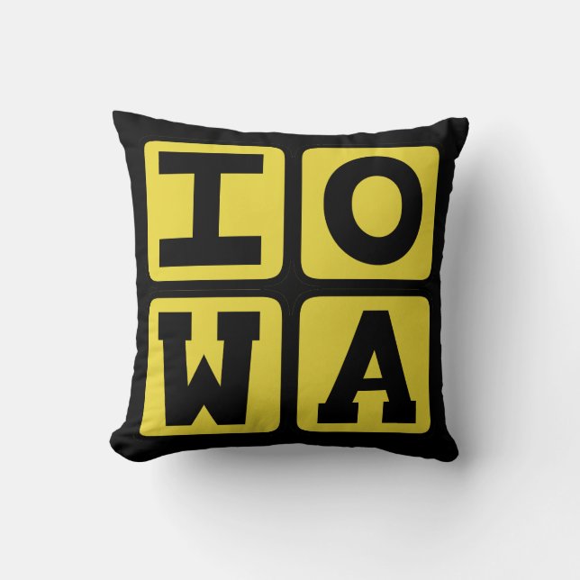 IOWA State Iowan Hawkeye Des Moines Cedar Rapids Kudde (Framsida)