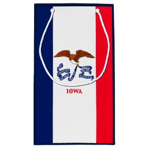 Iowa Statlig flagga Design