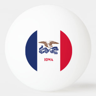 Iowas delstatsflagga pingisboll