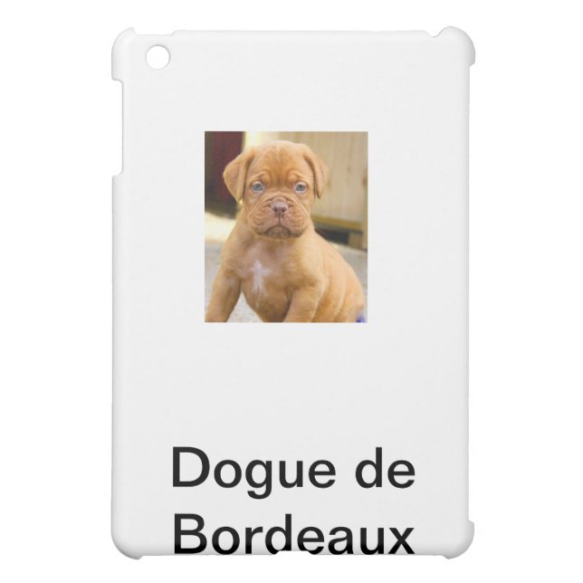 IPAD-FODRAL***, iPad MINI SKYDD (Baksidan)