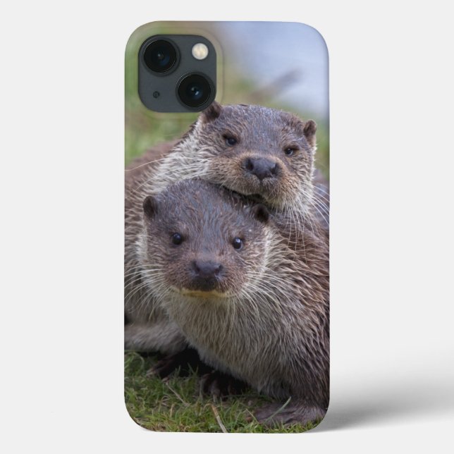 iPad-fodral Otterly in Love (Baksida)