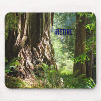 iPENSIONERA musmattor Redwoods Träd