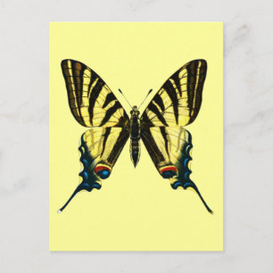 Iphiclides podalirius vycard vykort
