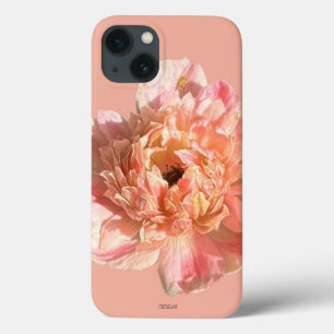 iPhone 13-fodral