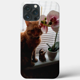 IPhone 13 Pro Max-Caseser för kattens älskare