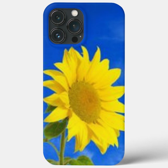 iPhone 13 pro max fodral (Baksida)