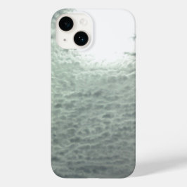 iPhone 14-fodral
