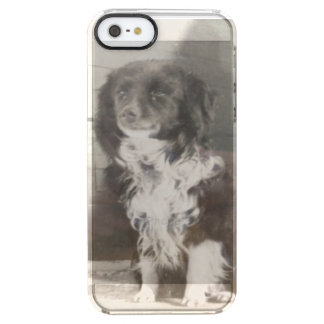 iphone case med Hund för barn Clear iPhone SE/5/5s Skal