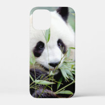 iphone case Photo jätte panda, djur.