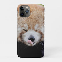 iphone case Photo jätte panda, djur.