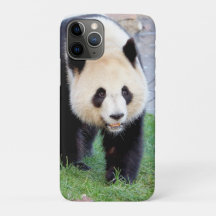 iphone case Photo jätte panda, djur.