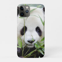 iphone case Photo jätte panda, djur.