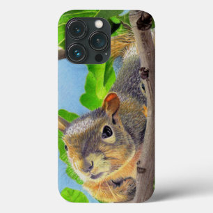 iPhone/iPad-fall