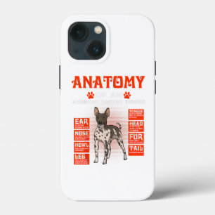 iPhone/iPad-fall